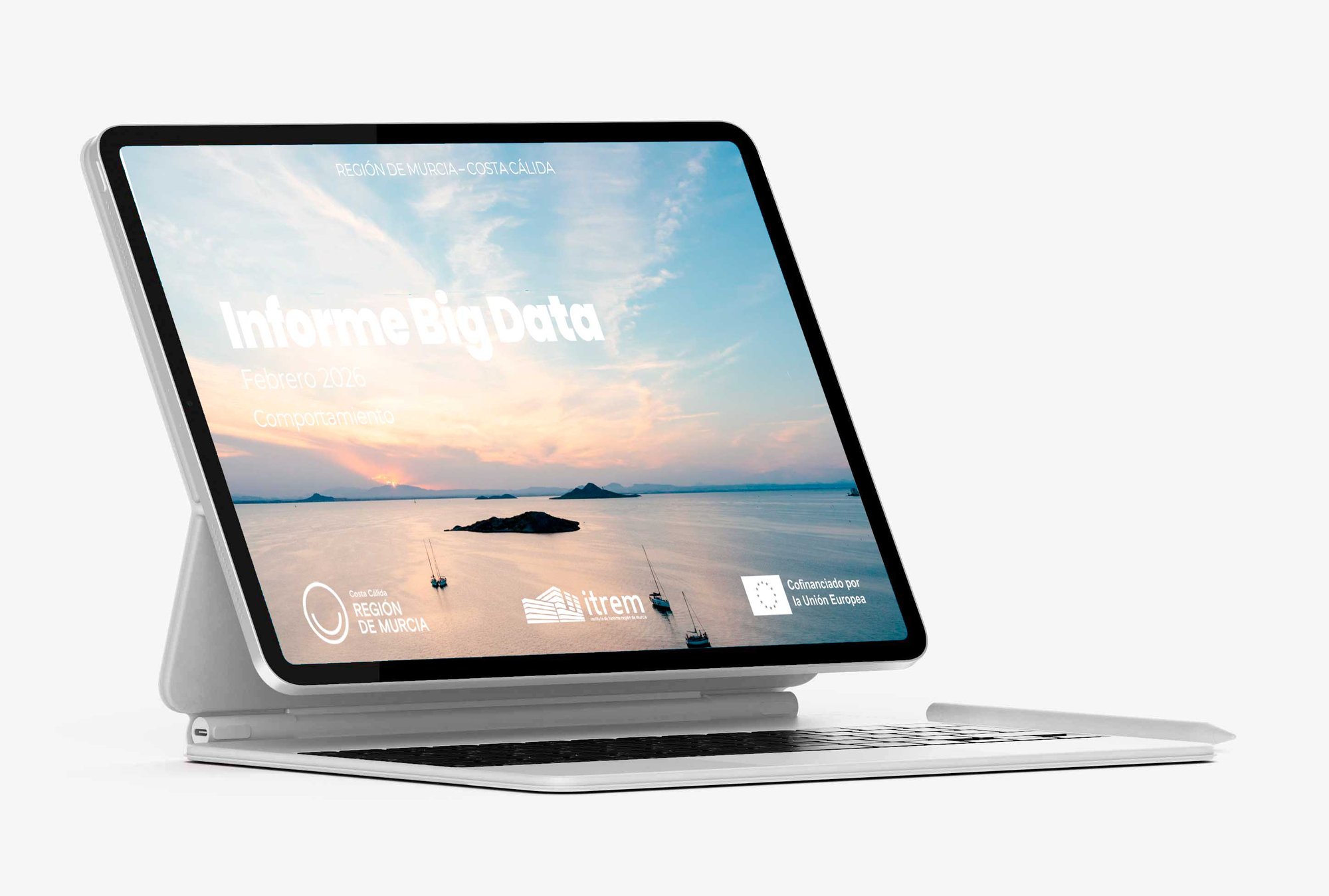 mockup-big-data-comportamiento